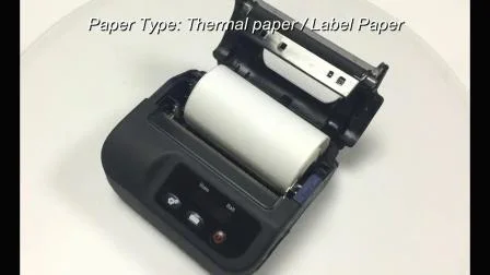 Multifunción 80mm/S USB+Bt Producto biométrico móvil de mano Impresora de etiquetas térmicas de envío textil (HCC-L31)
