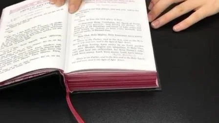 Cubierta de cuero Impresión de la Biblia Estampado de oro personalizado Servicios de impresión de la Sagrada Biblia